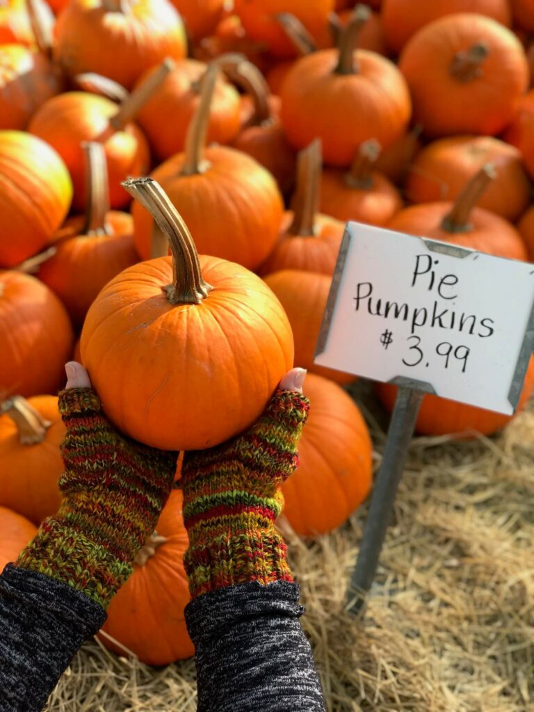 A Wave of Fall Colors