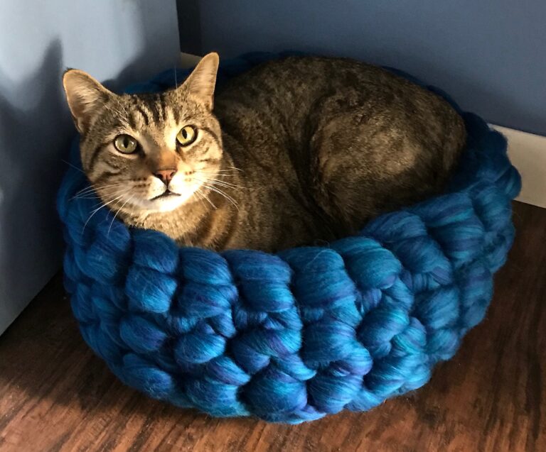 Cozy Crochet Cat Bed