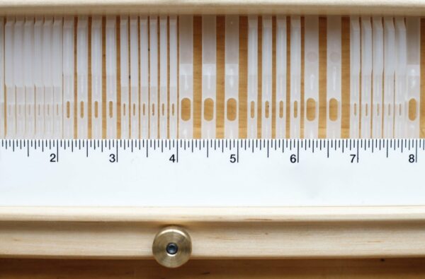 MG_1450-1056x696-1.jpg MG_1450-1056x696-1.jpg