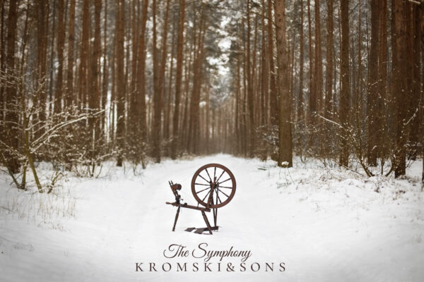 Kromski Symphony and snow Winter time with spinning wheel