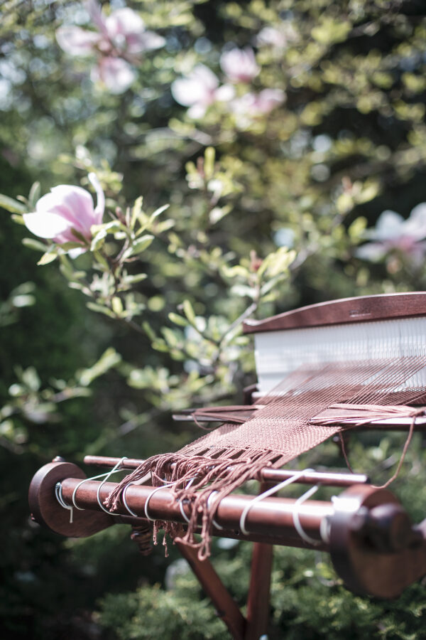 harfa WALNUT harfa WALNUT